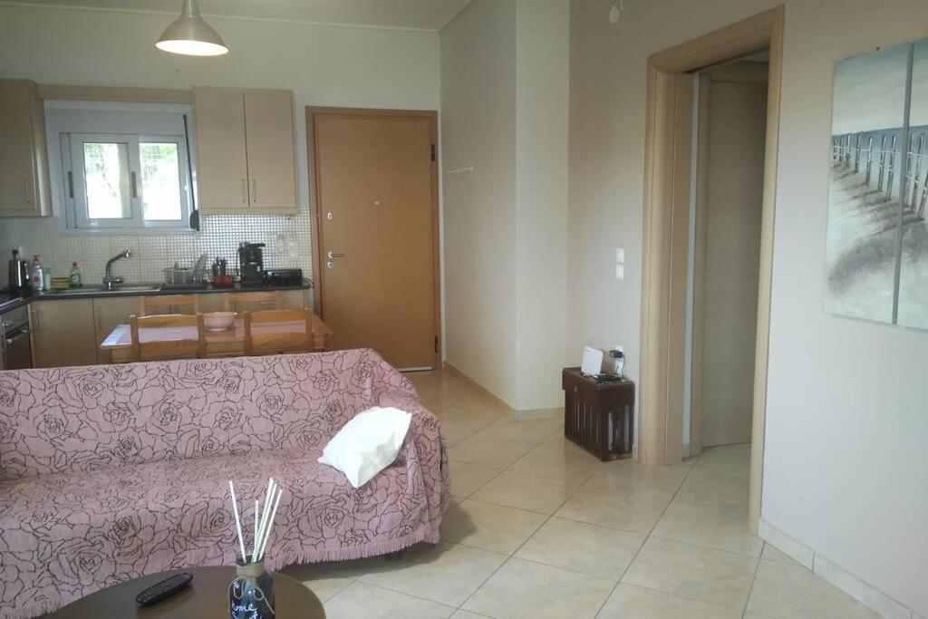 Kalypso Relaxing Shelter Διαμέρισμα Αρκίτσα Εξωτερικό φωτογραφία
