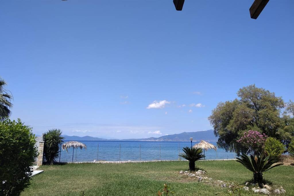 Kalypso Relaxing Shelter Διαμέρισμα Αρκίτσα Εξωτερικό φωτογραφία