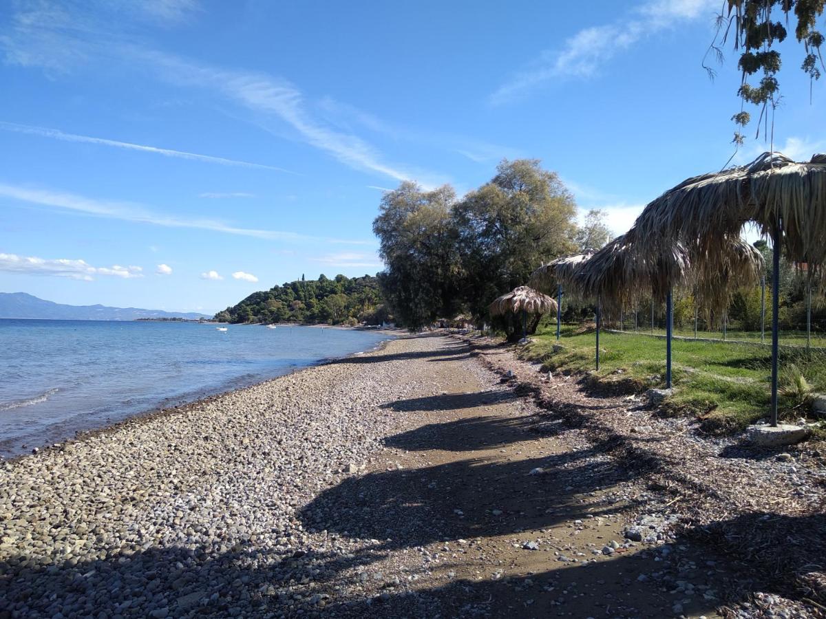 Kalypso Relaxing Shelter Διαμέρισμα Αρκίτσα Εξωτερικό φωτογραφία