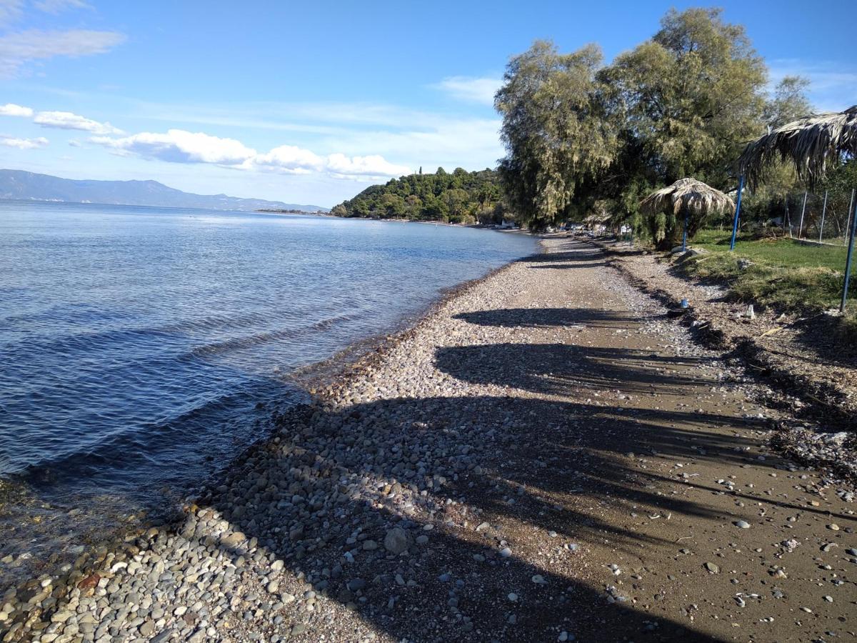 Kalypso Relaxing Shelter Διαμέρισμα Αρκίτσα Εξωτερικό φωτογραφία